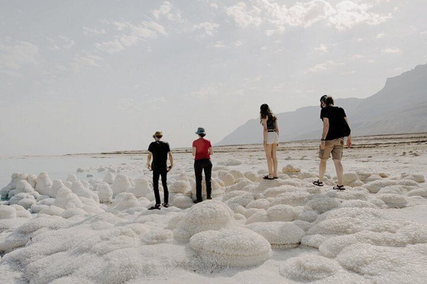 Petra Dead Sea Pink Lake and Salt Beach Private Guided Tour 5