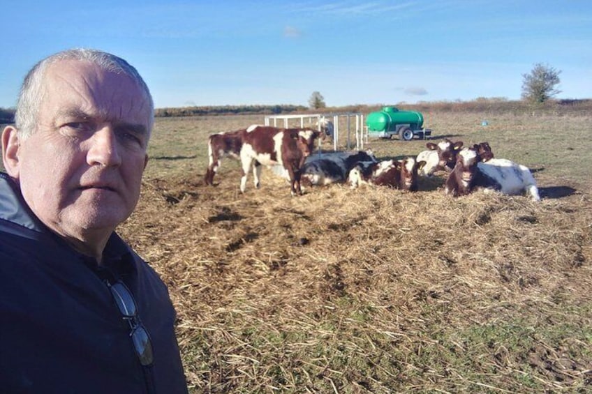A person standing in a field with cows and a green tank in the background. 1