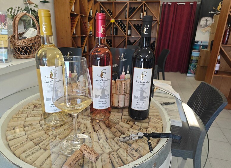 Mallorca: Wine tasting in Porto Cristo – Cala Mandia Wine Shop – 8 wines 1