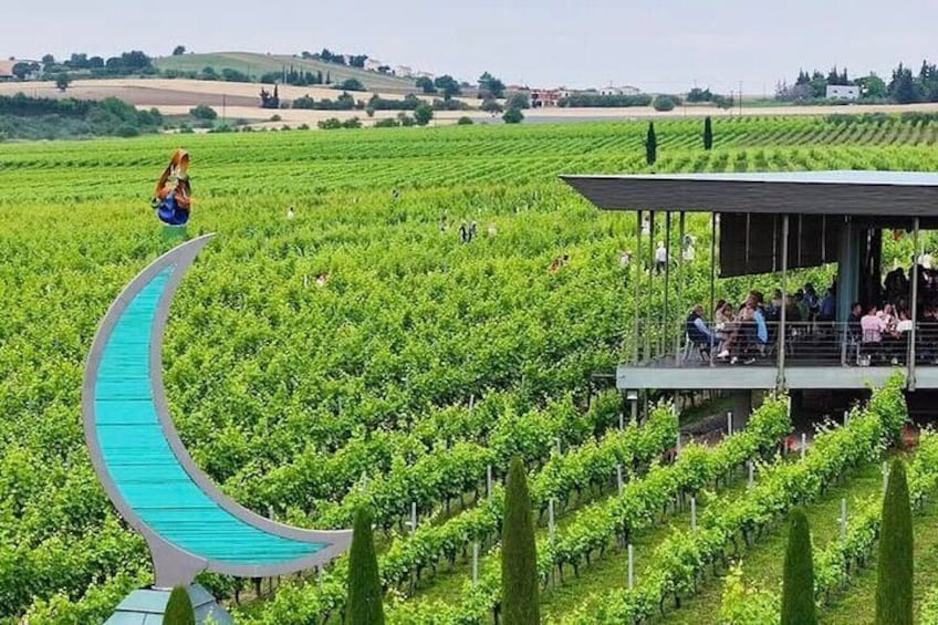 Un vignoble avec un sentier bleu sinueux et un espace de repos abrité. 1