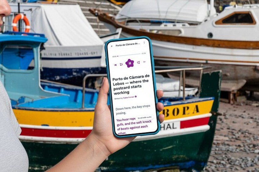 A person holding a smartphone displaying a webpage about Porto de Câmara de Lobos. 1
