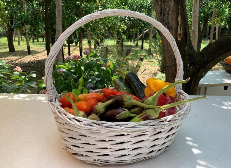 Picture 4 for Activity From Sorrento: Cooking Class in Lemon Grove 2