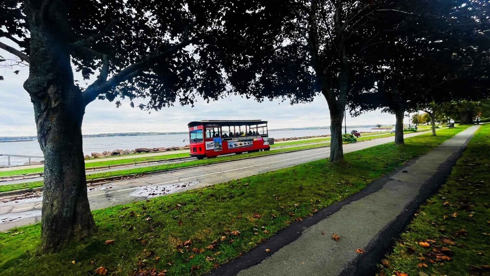A red trolley moving along a track beside a waterfront, with trees and a grassy path in the foreground. 3