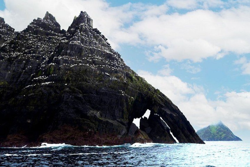 Skellig Michael Seabird Photography Small Group from Kenmare 4