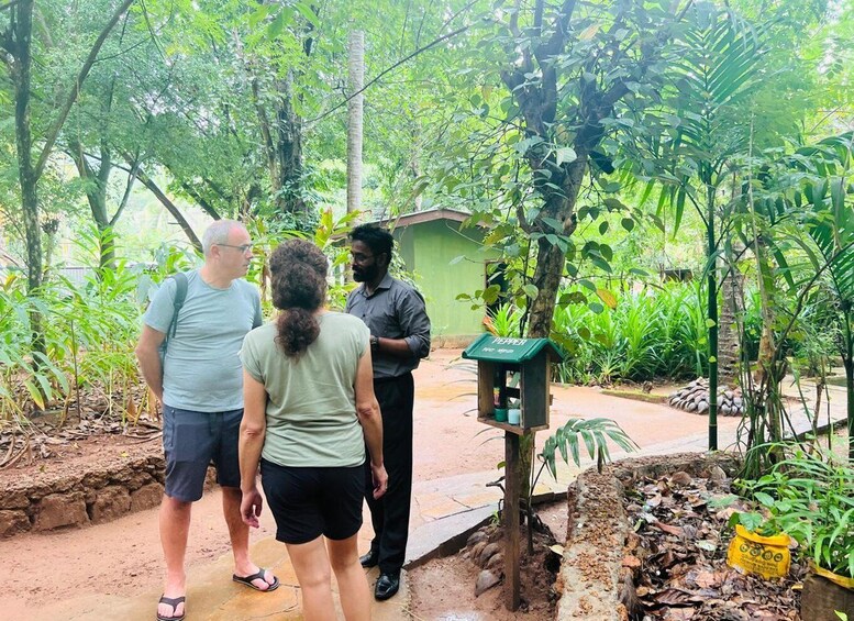Three people standing in a garden with a green structure labeled 'PEPPER' and a variety of tropical plants. 4