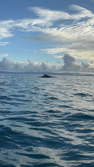 A vast ocean with a small island in the distance under a partly cloudy sky. 5