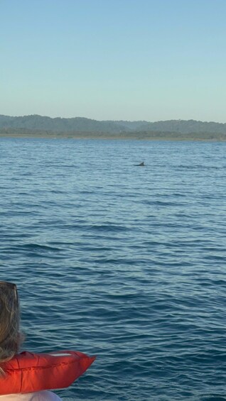 A calm sea with a distant landmass and a person in a red jacket. 4
