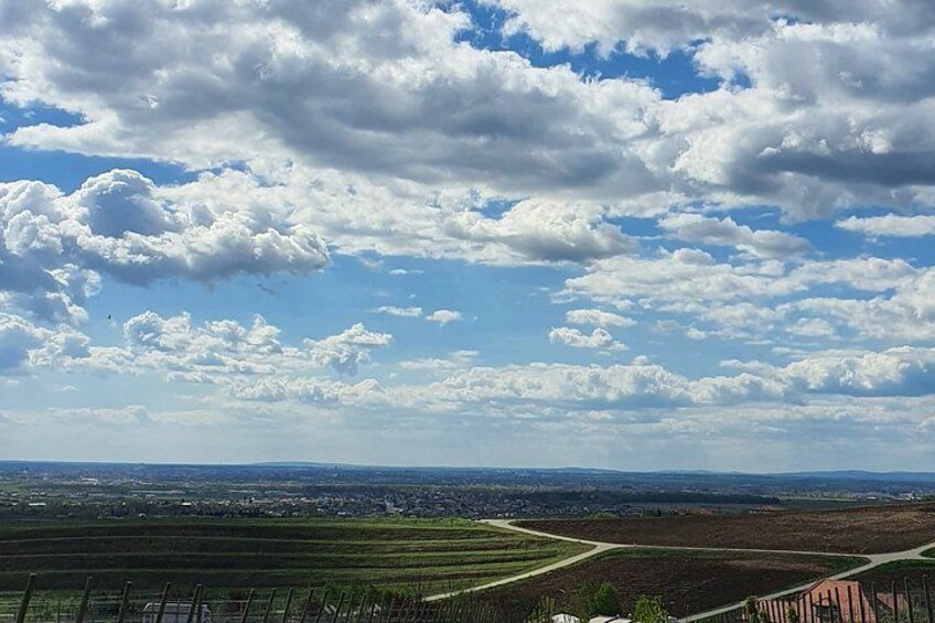 Mud Volcanoes and Dealu Mare Wine Tasting Late Start 1 Day Trip 1