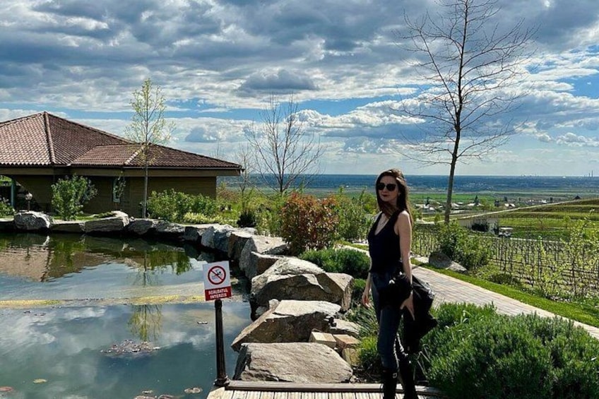 Mud Volcanoes and Dealu Mare Wine Tasting Late Start 1 Day Trip 3