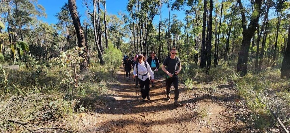 A group of people hiking on a dirt trail in a forested area. 1