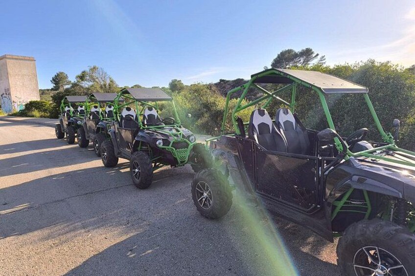 Buggy tour in Mallorca 5