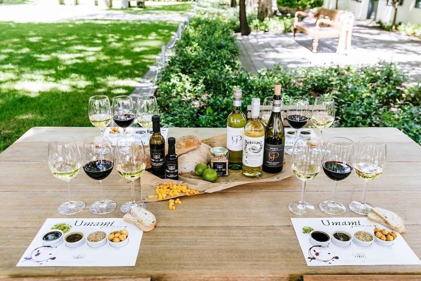A wine tasting setup with various bottles and glasses on a table, surrounded by greenery. 4