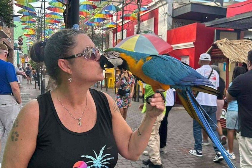 A person holding a colorful parrot on a stand. 1