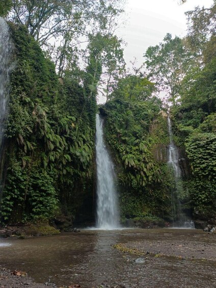 A waterfall surrounded by dense forest. 2