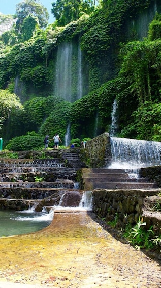A waterfall cascading over stone steps into a pool, surrounded by lush greenery. 3