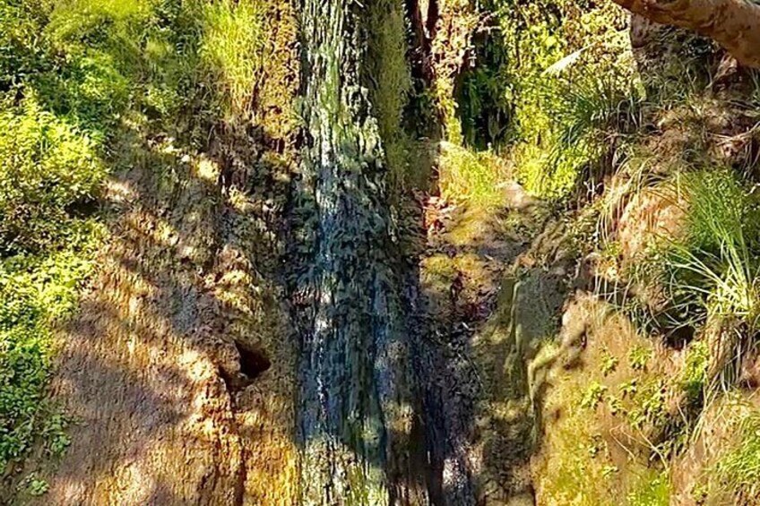 Malibu Waterfall eMTB & Hiking Adventure (Beginner) 2