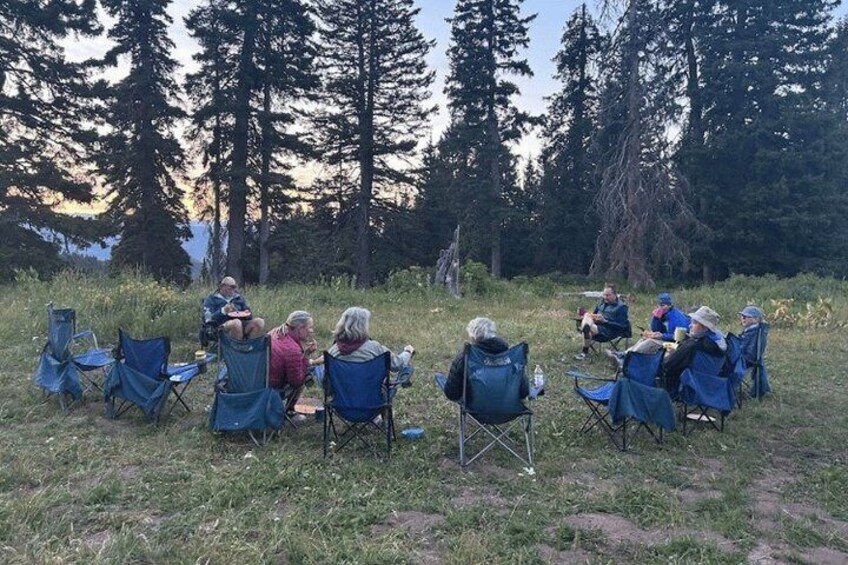A group of people seated on blue folding chairs in a grassy field with tall trees in the background. 5