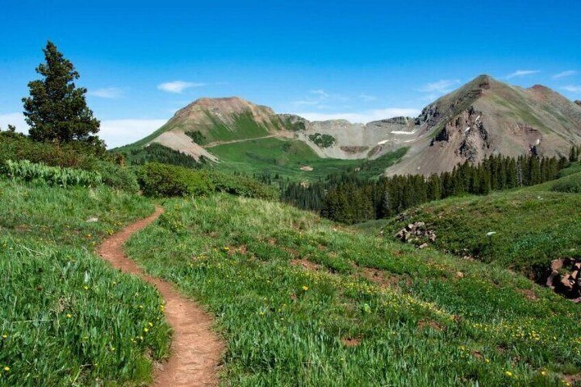 A mountain trail with green grass and a clear blue sky. 1
