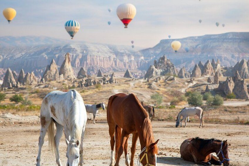 Caballos pastando en un desierto con montañas al fondo y globos aerostáticos en el cielo. 5