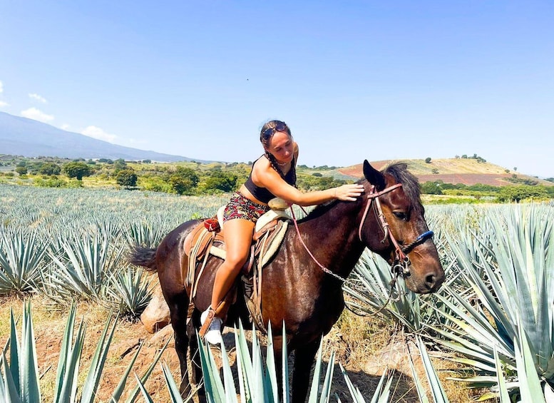 A person riding a horse through a field of agave plants with a mountainous landscape in the background. 5