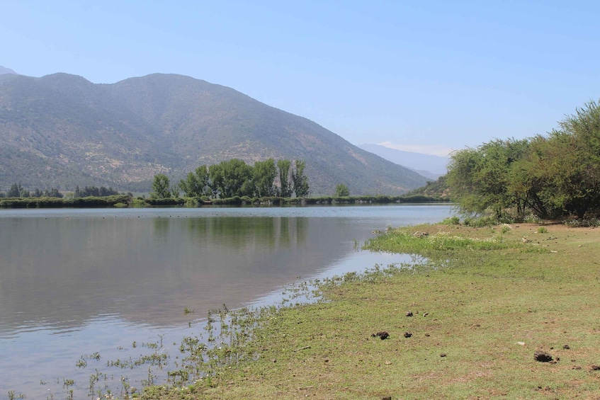A calm lake with mountains in the background and sparse vegetation along the shore. 3