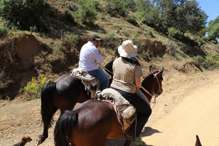 Two people riding horses on a dirt road with a hilly landscape in the background. 1