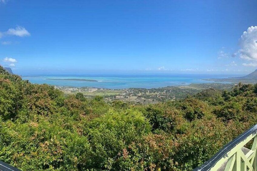 A coastal landscape with dense vegetation, a clear sky, and a view of the ocean. 5