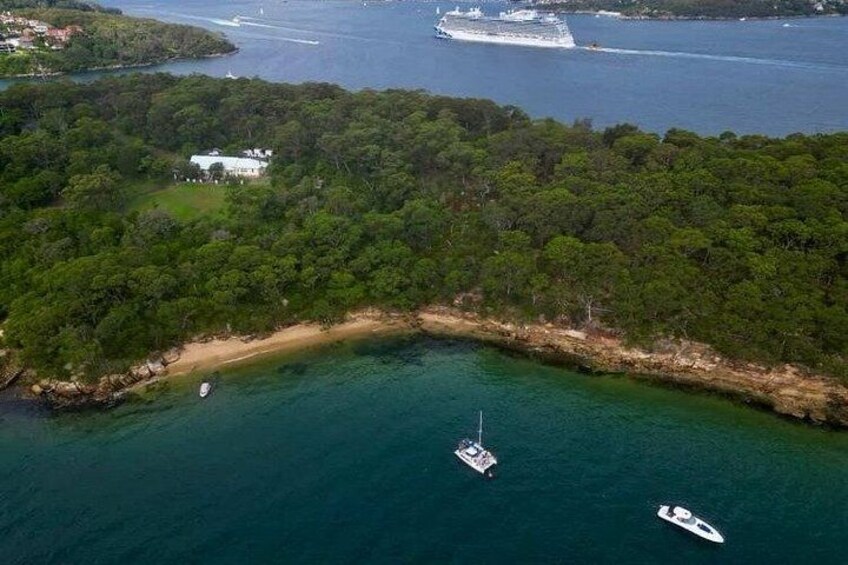 A coastal area with a large cruise ship, a sailboat, and a small motorboat. There is a forested island and a sandy beach. 5
