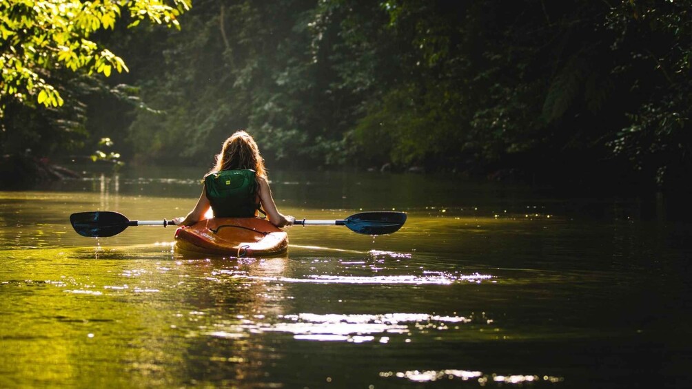 A person kayaking on a calm river surrounded by dense forest. 1