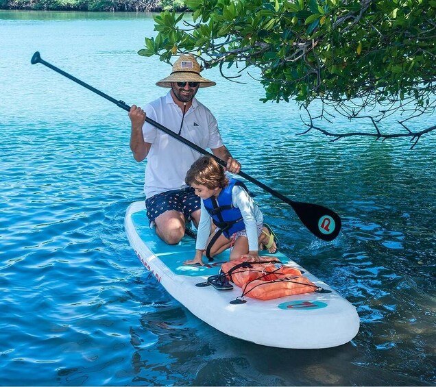 A man and a child on a paddleboard in calm water, with a tree overhead. 2