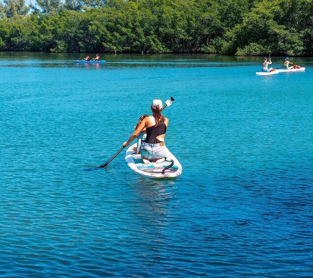A person paddleboarding on a calm body of water surrounded by lush greenery. 3