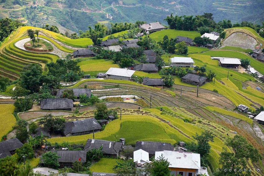 Terraced rice fields, traditional houses, and a hilly landscape. 1