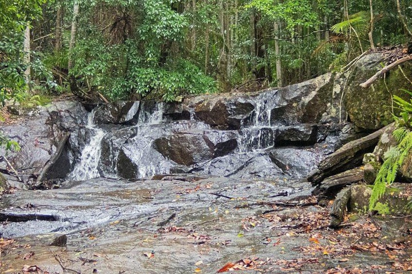 A waterfall in a forested area with rocks and fallen leaves. 4