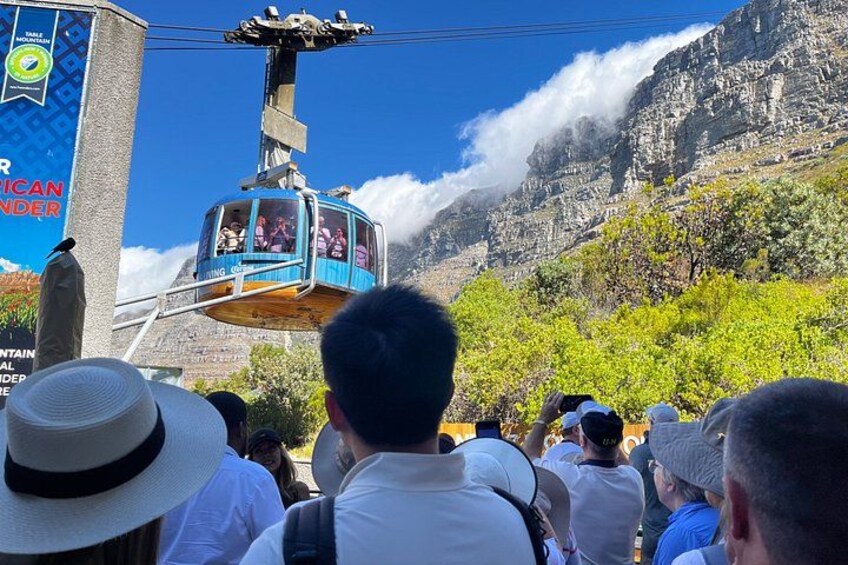 Half-Day Cape Highlights Table Mountain and Penguins 4