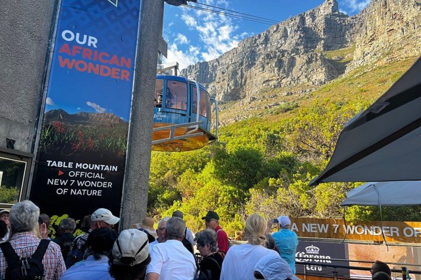 Half-Day Cape Highlights Table Mountain and Penguins 1
