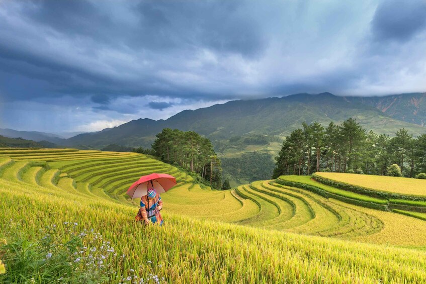 Terraced rice fields, a person with a red umbrella, and a mountainous landscape under a cloudy sky. 2