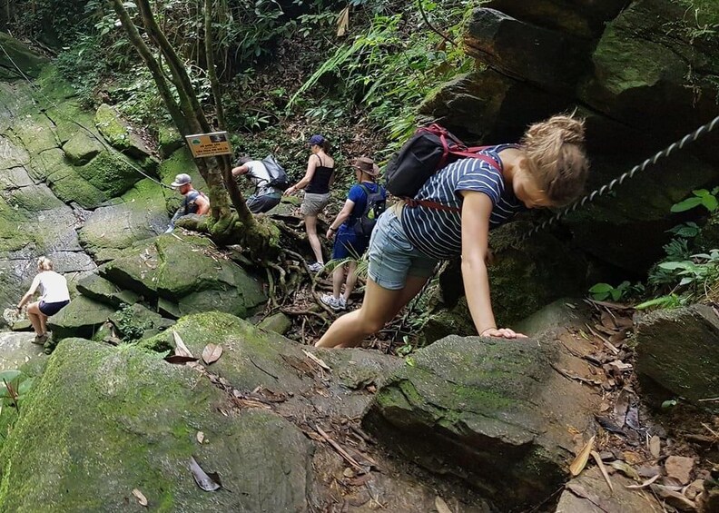 Picture 8 for Activity From Hue : Bach Ma National Park Luxury Trekking Tour 2
