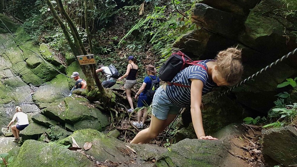 Picture 8 for Activity From Hue : Bach Ma National Park Luxury Trekking Tour 2