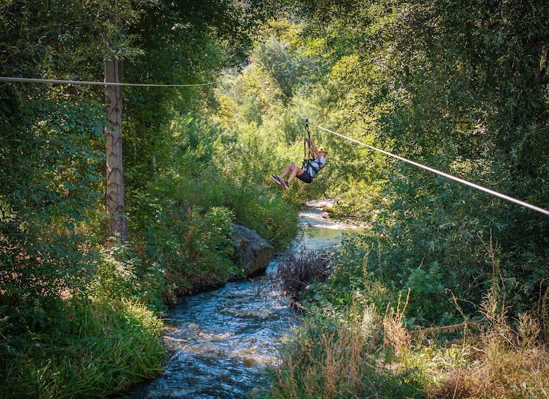 A person zip-lining over a river surrounded by dense greenery. 3