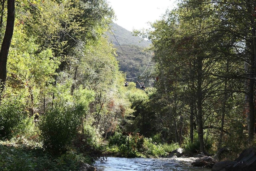 A river flowing through a forested area with a person zip-lining above. 4
