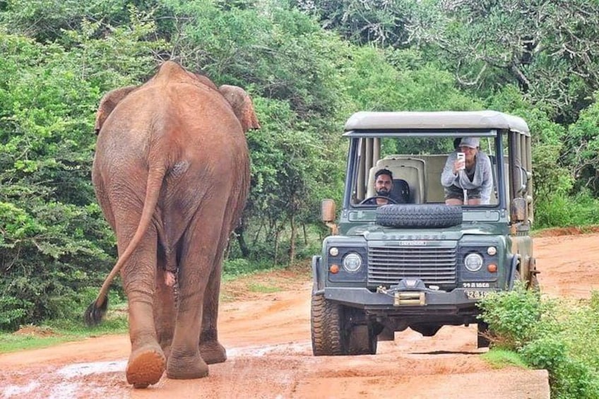 An elephant walking beside a jeep on a dirt road. 1