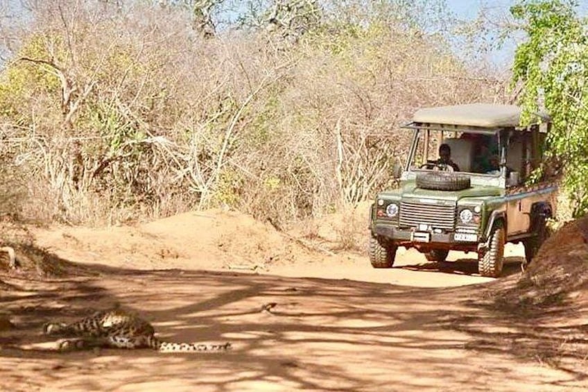 A green off-road vehicle driving on a dirt path surrounded by dry vegetation. 5