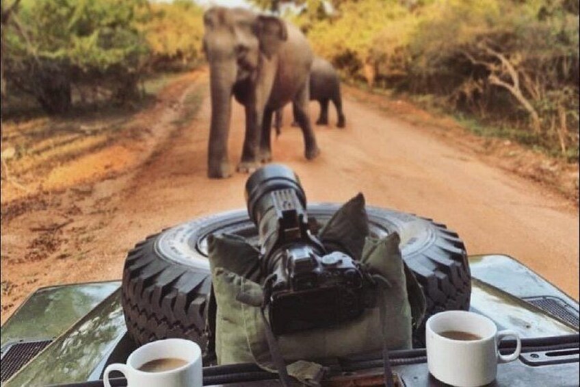 A vehicle with a mounted camera and two cups on the dashboard. 2