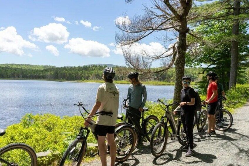 Guided E Bike Tour of Acadia National Park 4
