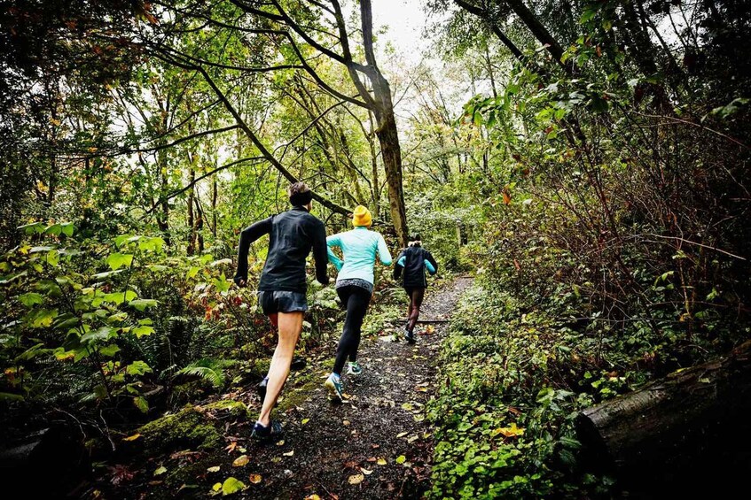 Three people hiking on a forest trail surrounded by dense foliage. 1