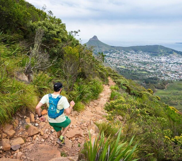 Picture 5 for Activity Privately Guided Sunrise Trail Run Table Mountain, Cape Town 2