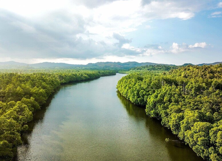 A river winding through a dense forest with mountains in the background. 1