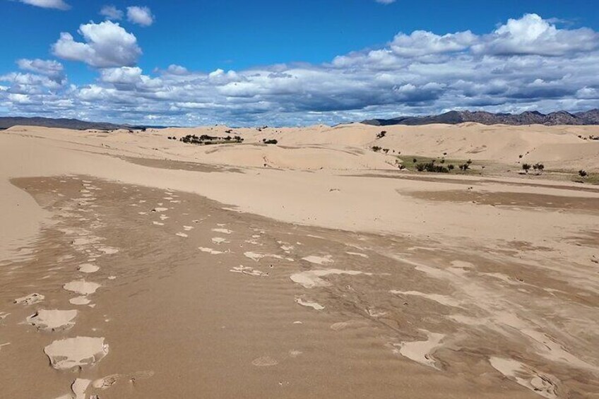A desert landscape with sand dunes, sparse vegetation, and a clear sky. 5