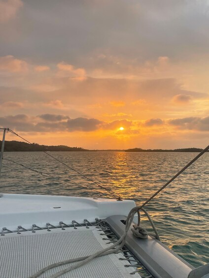 A boat's deck with fishing rods and a view of a sunset over water. 1