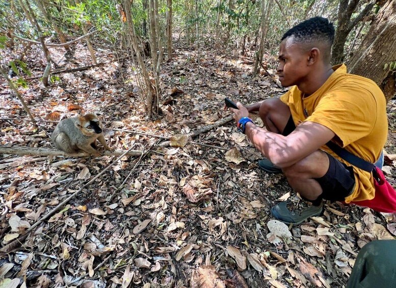 Picture 12 for Activity Morondava: 3-Day Tsingy de Bemaraha and Kirindy Forest Tour 5